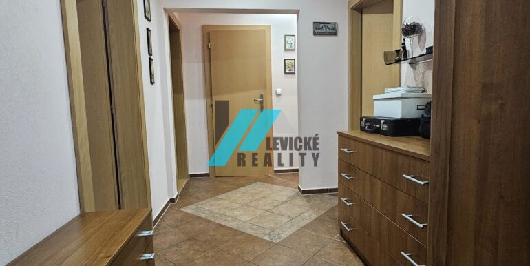 Levicke-reality-9