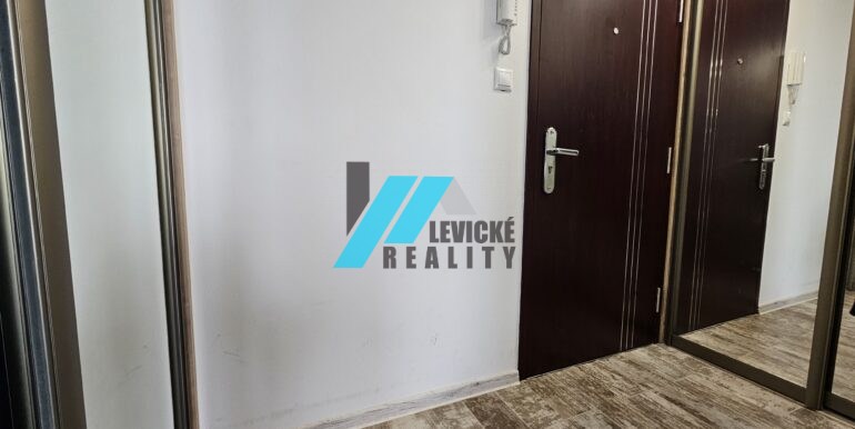Levicke-reality-10