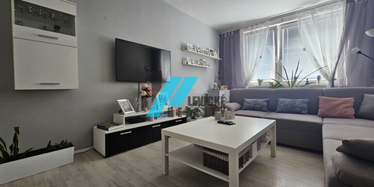 Levicke-reality-1