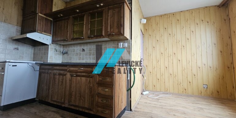 Levicke-reality-2