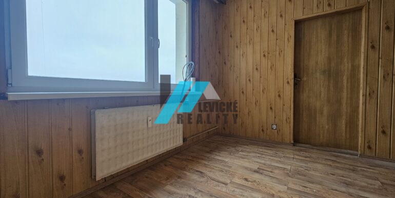 Levicke-reality-3