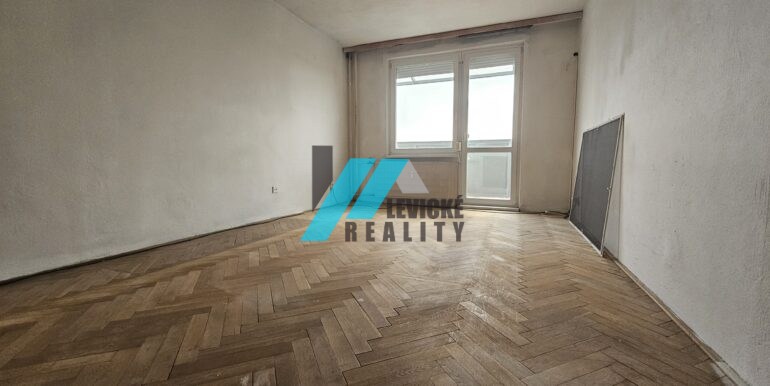 Levicke-reality-4