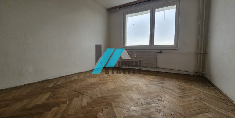 Levicke-reality-5