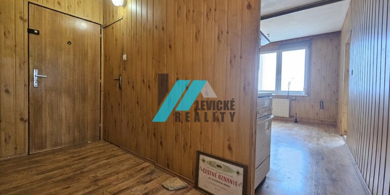 Levicke-reality-9