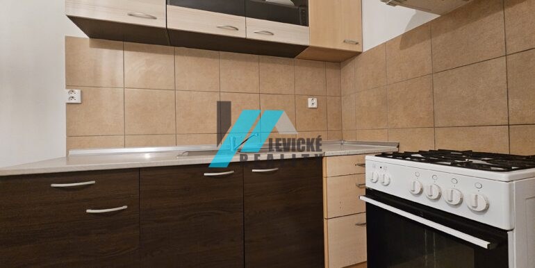 Levicke-reality-1