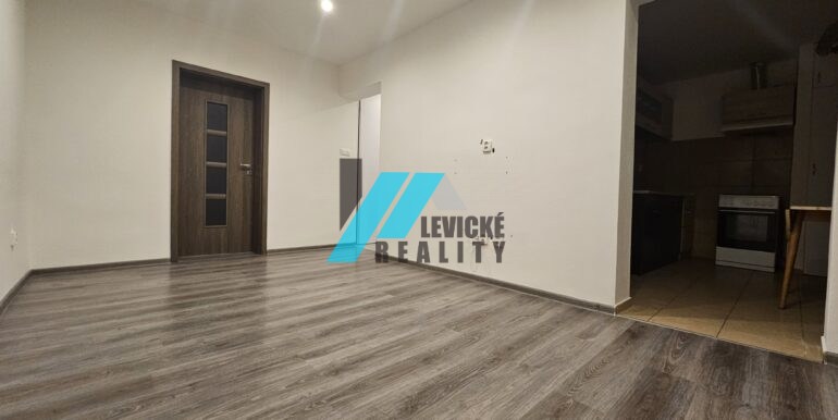 Levicke-reality-3