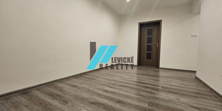Levicke-reality-4