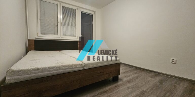 Levicke-reality-5