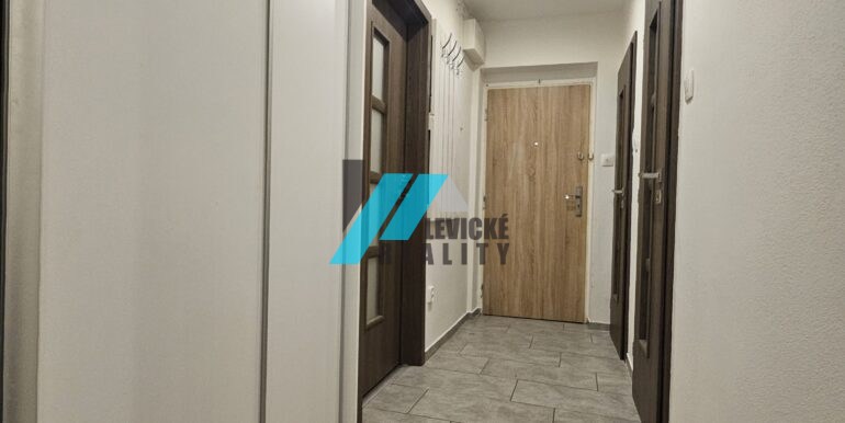 Levicke-reality-9