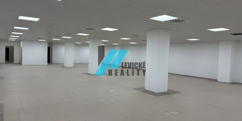 Levicke-reality-1
