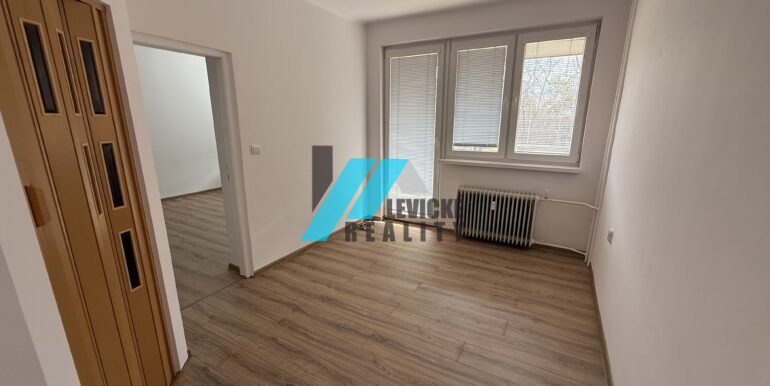 Levicke-reality-1