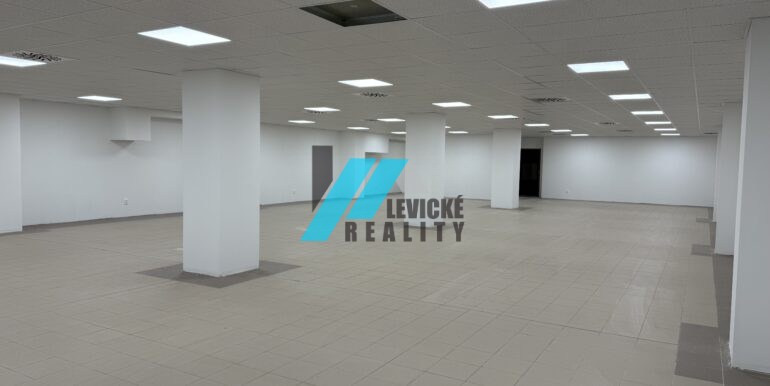 Levicke-reality-2