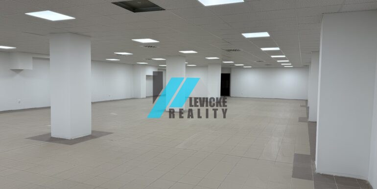 Levicke-reality-3