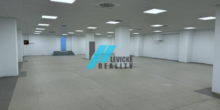 Levicke-reality-4