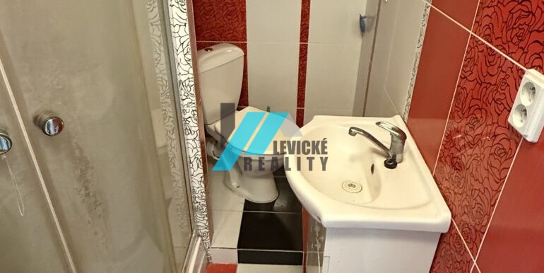Levicke-reality-4