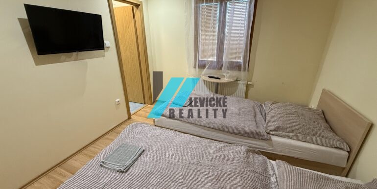 Levicke-reality-4