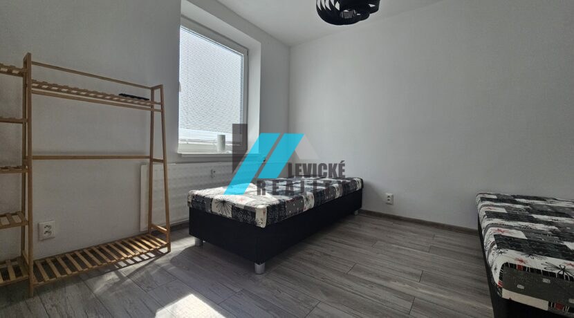 Levicke-reality-5
