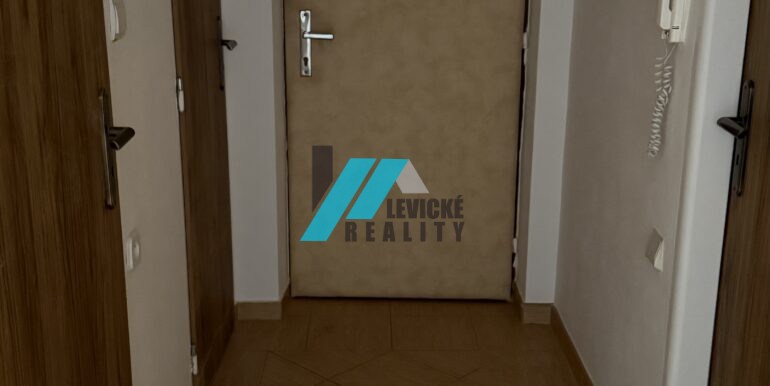 Levicke-reality-6