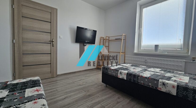 Levicke-reality-6