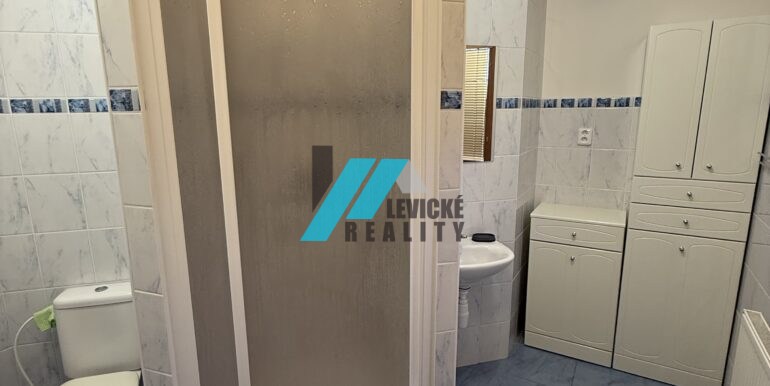Levicke-reality-6