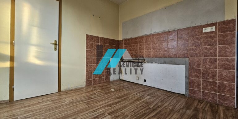 Levicke-reality-6