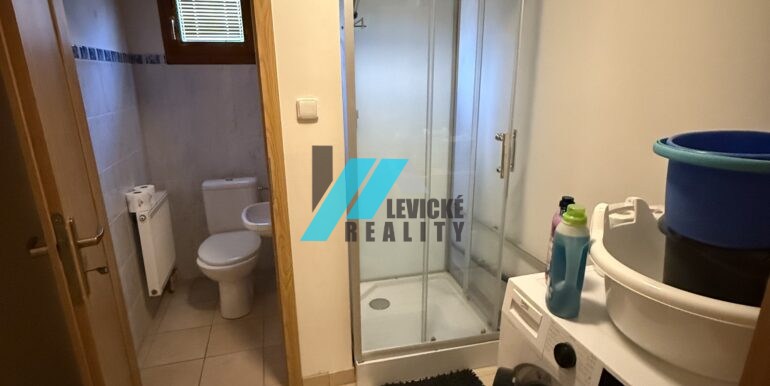 Levicke-reality-7