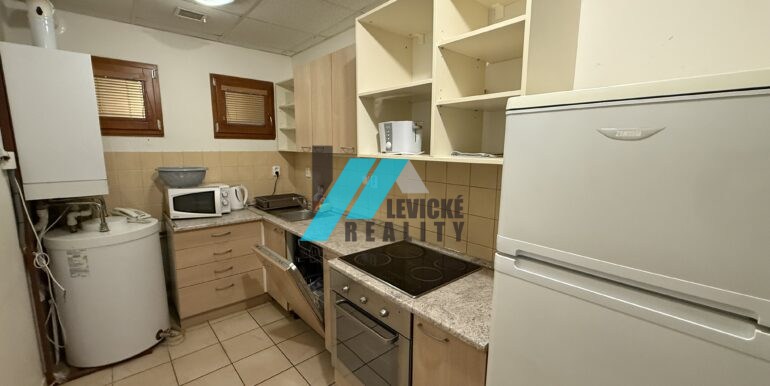 Levicke-reality-8