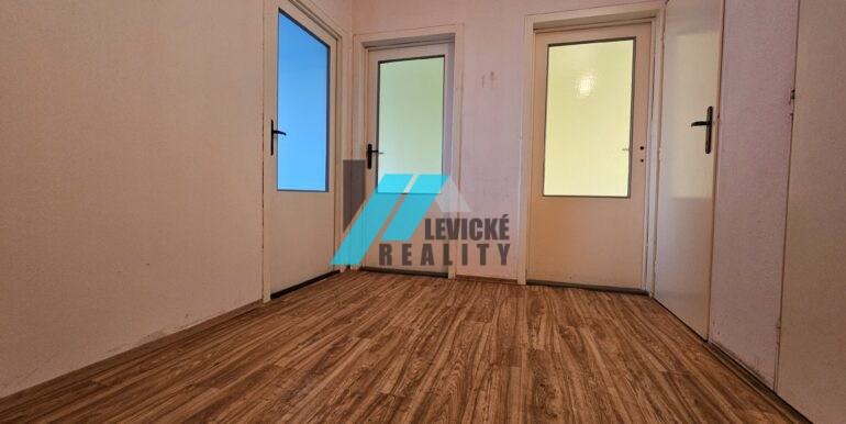 Levicke-reality-8