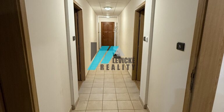 Levicke-reality-9