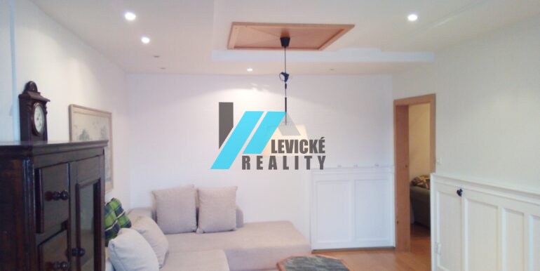 Levicke-reality-2