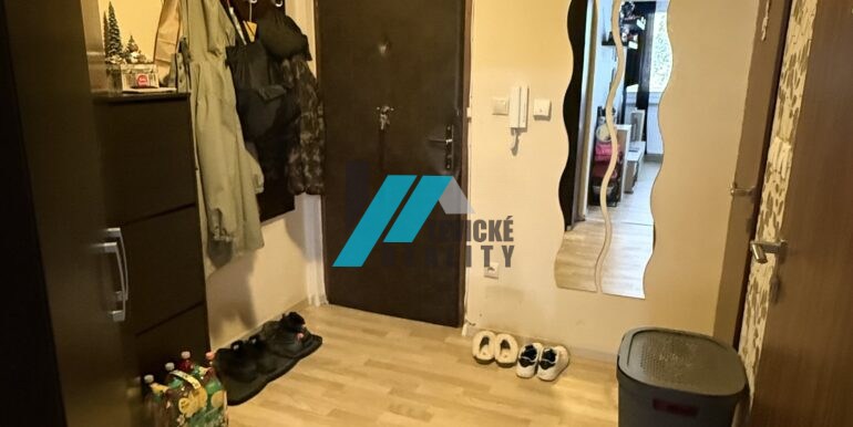 Levicke-reality-3