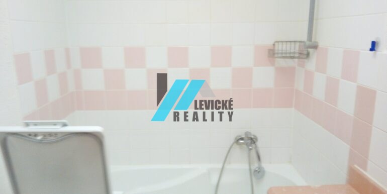 Levicke-reality-4