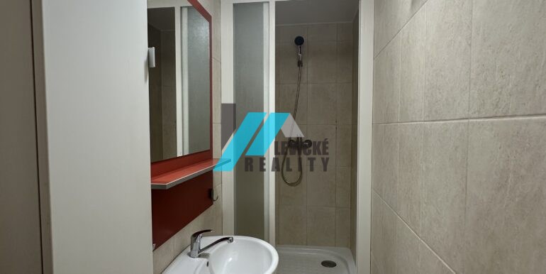 Levicke-reality-7
