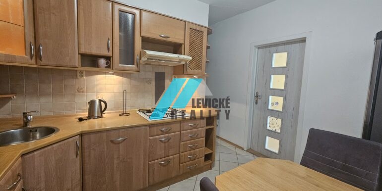 Levicke-reality-2