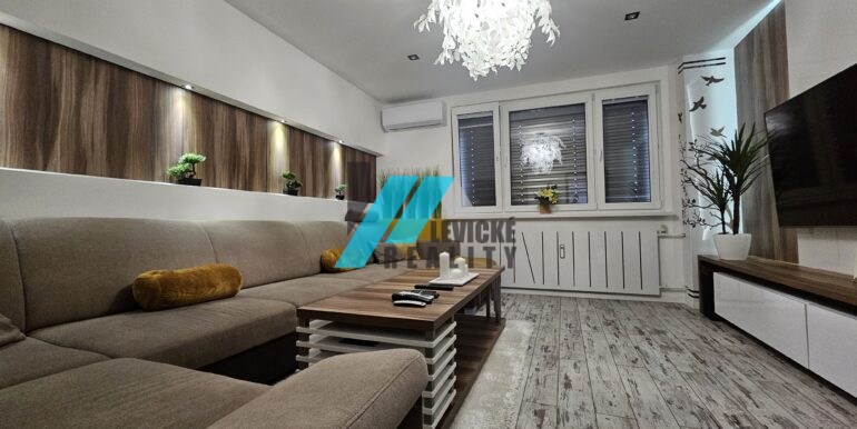 Levicke-reality-2