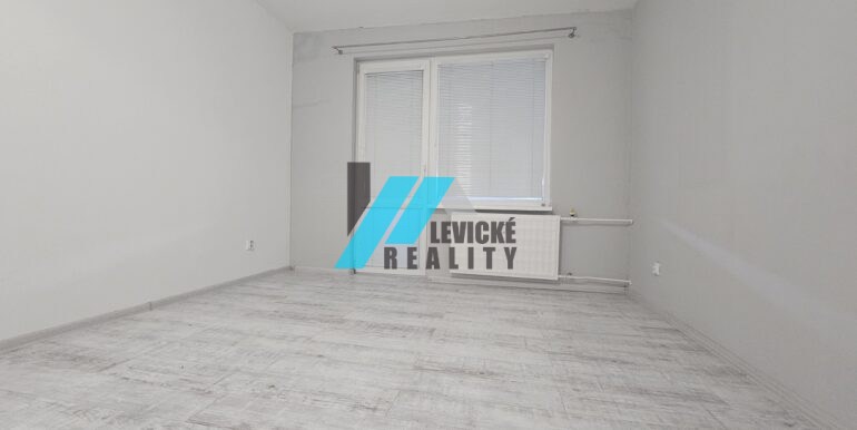 Levicke-reality-5
