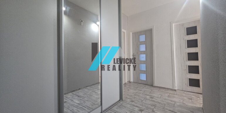 Levicke-reality-9