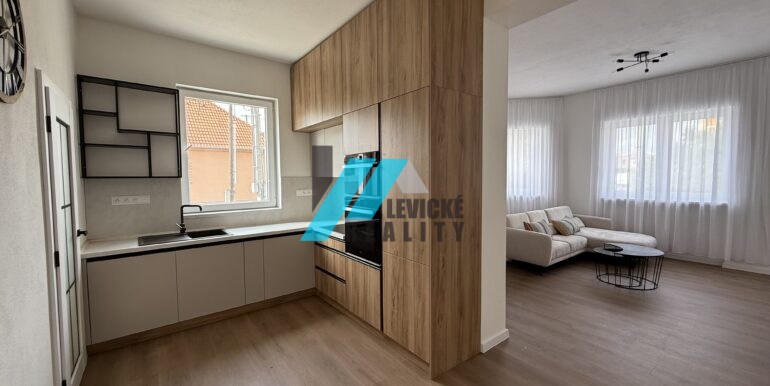 Levicke-reality-1