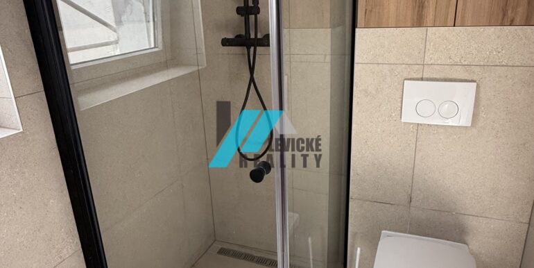 Levicke-reality-5