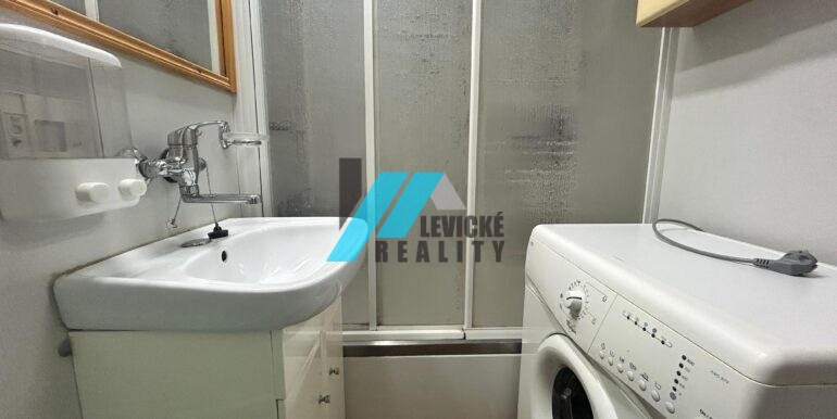Levicke-reality-4