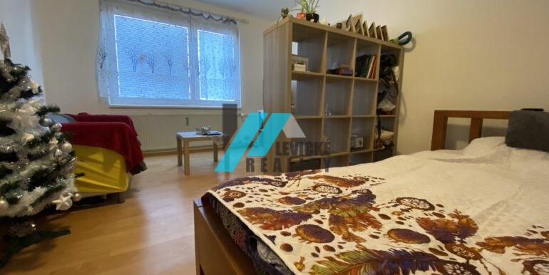 Levicke-reality-3