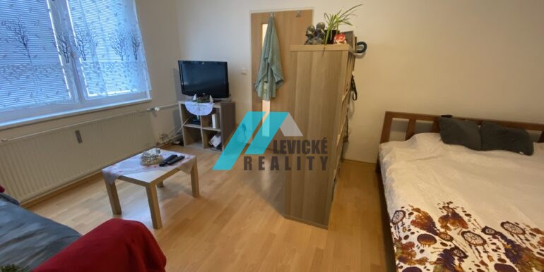 Levicke-reality-4