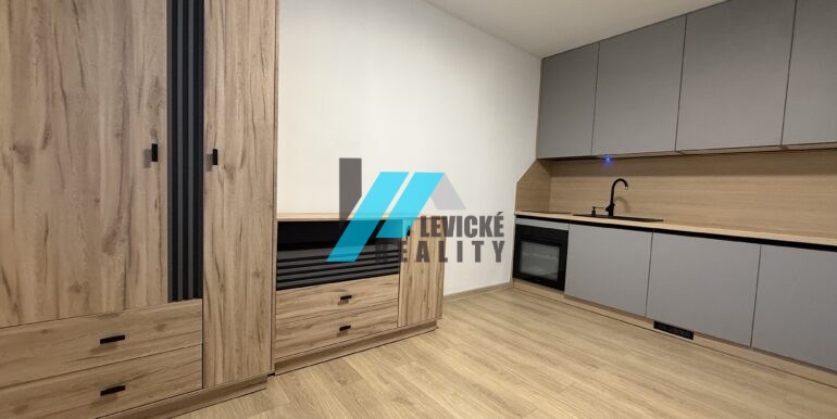 Levicke-reality-1