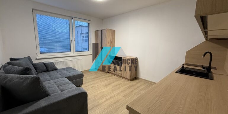 Levicke-reality-2
