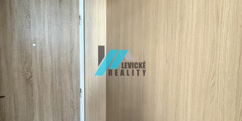 Levicke-reality-4
