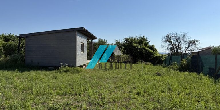 Levicke-reality-1