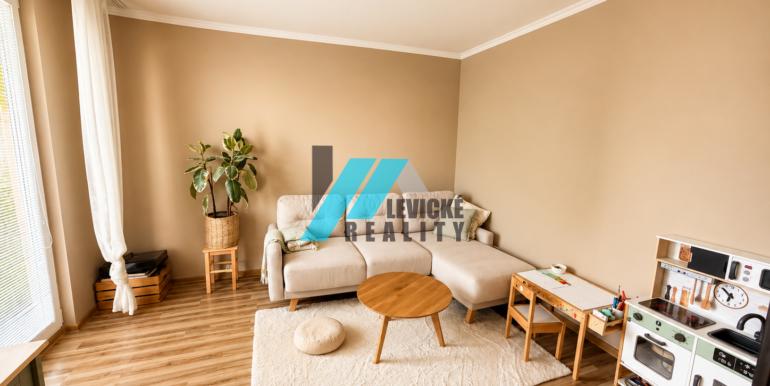 Levicke-reality-1