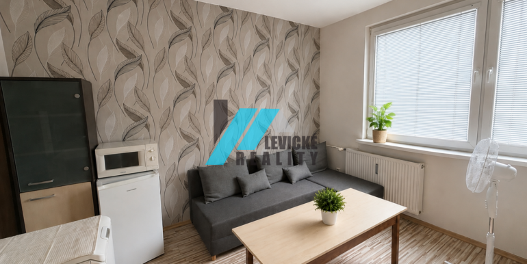 Levicke-reality-3