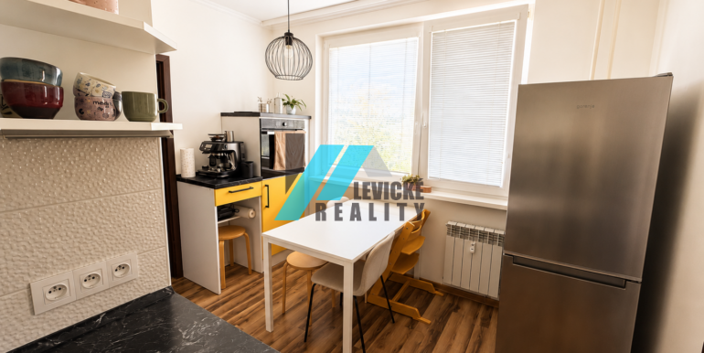 Levicke-reality-5