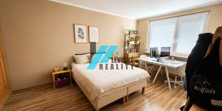 Levicke-reality-7
